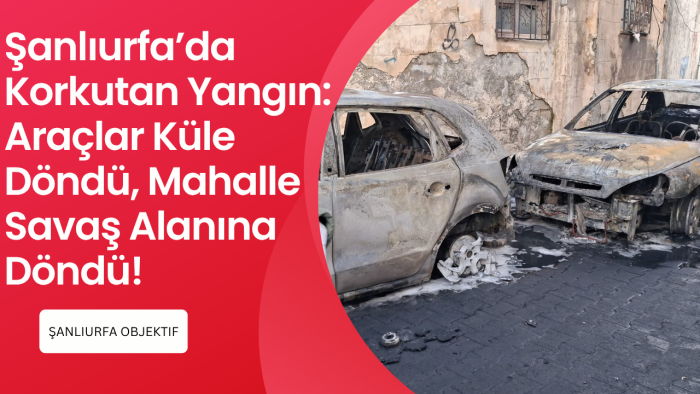 Şanlıurfa’da Korkutan Yangın: Araçlar Küle Döndü, Mahalle Savaş Alanına Döndü!